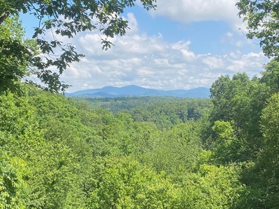 Bears Repeating - Balcony View