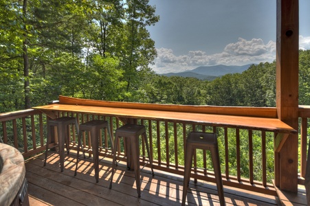 Bearadise - Live Edge Bar Top with Valley and Mountain Views