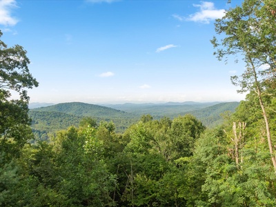 Crows Nest- Deck view