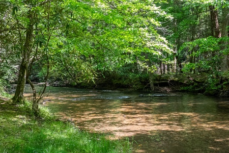 A Creek Runs Thru It - Fightingtown Creek