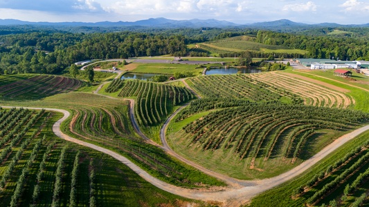 Moonlight Retreat - Neighboring Mercier Orchards