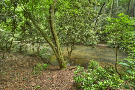 Stoney Creek Retreat - Ellijay River