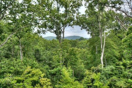 Woodsong - Forest and Mountain Views