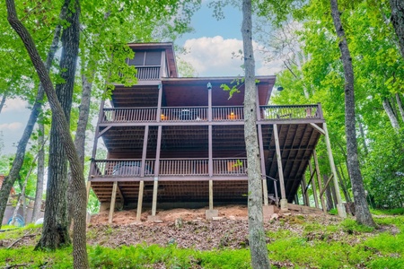 Hibernation Station - Rear view of Cabin