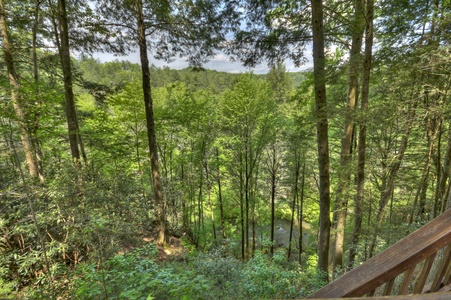 Hazy Hideaway - Ellijay River and Forest Views