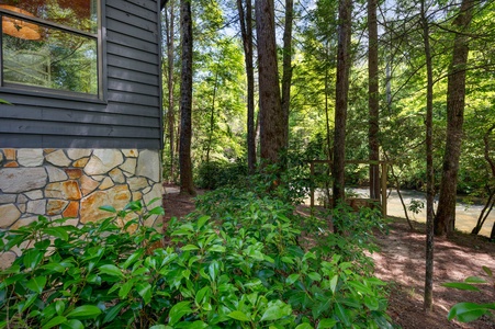 A Whitewater Retreat - Path Area towards Fightingtown Creek