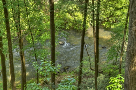 Hazy Hideaway - Ellijay River Views