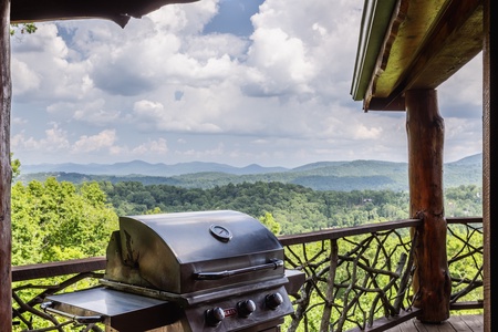 Lookout Lodge - Grilling Station