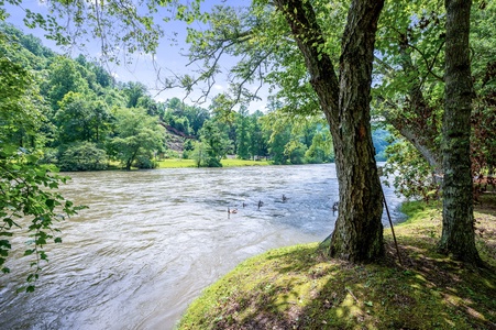 Seven's Secret - Toccoa River Welcoming Committee