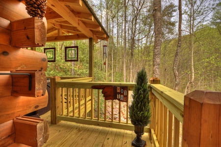 Boo Bear - Cherry Log, GA Cabin