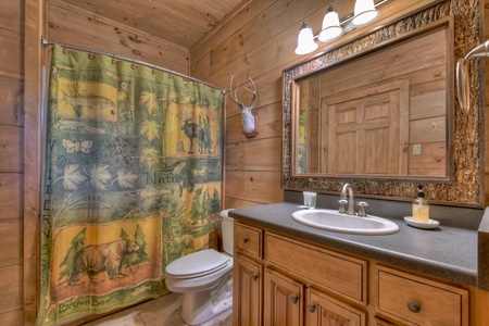 Stanley Creek Lodge - Guest Bathroom