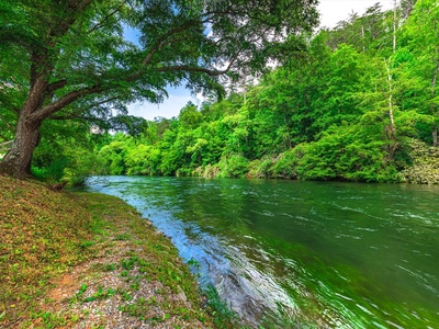 Take Me to the River - Toccoa River View