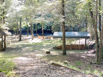 Creekside Getaway: View of Backyard