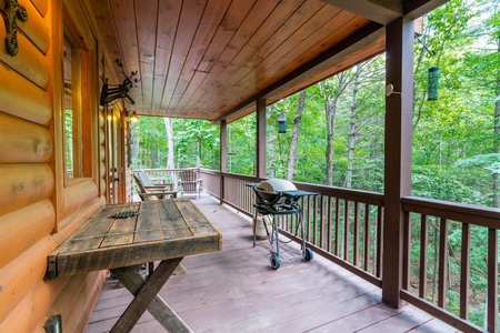 Hibernation Station - Main Level Deck and Seating Area