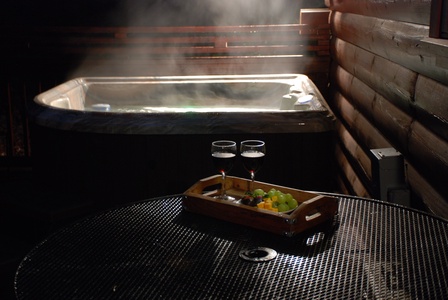 Bear Watch - Hot Tub