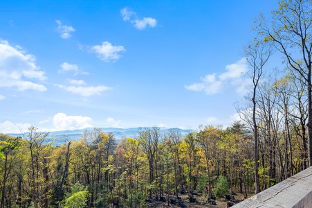 Mountain Air - Entry Level Deck View