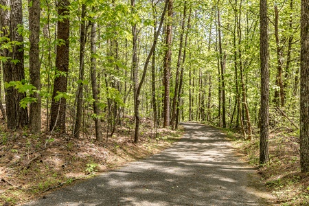 Adventures At Big Canoe - Entrance Road