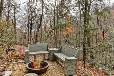 Bluebird Day - Outdoor Bench & Firepit