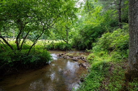 Millstone Haven - Creek Front