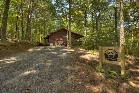 Bear Watch - Entrance