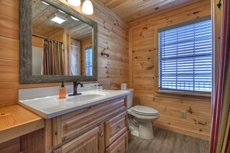 A Birds Eye View - Lower Level Full Bathroom