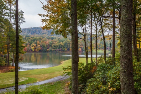 Lake View Bliss