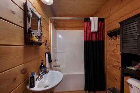 Wise Mountain Hideaway - Lower Level Shared Bathroom