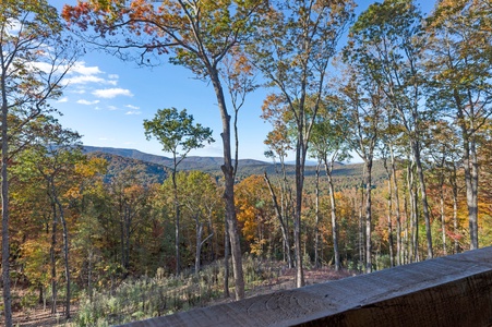 Eagle Ridge - View from Entry Level Deck