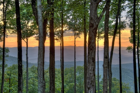 Heavenly Day - Views from Luxury Cabin in North Georgia