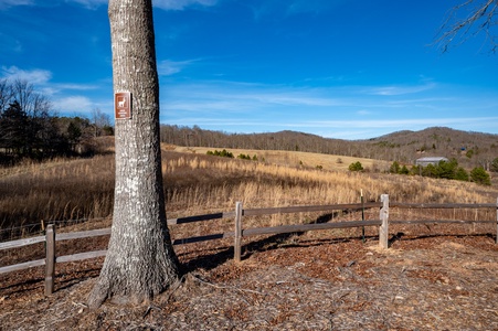 The Peaceful Meadow Cabin- Mountain View