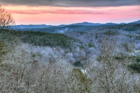 Privacy Peak - Forest and Mountain Views