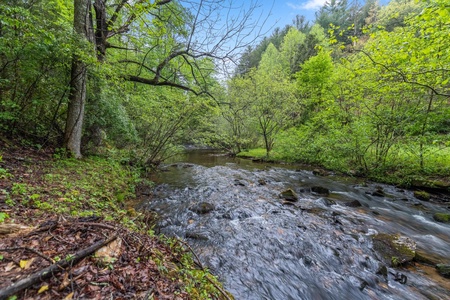 Tranquil Waters - Peaceful Stanley Creek