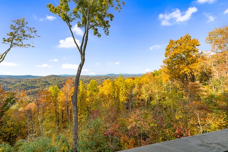 Wine Down Ridge - Entry Level Deck Mountain View