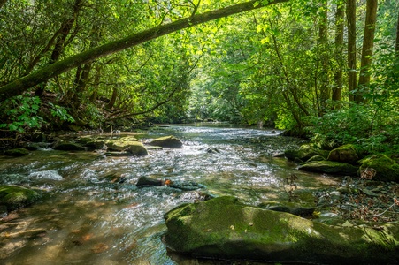 Creek Music Cabin - Mountaintown Creek