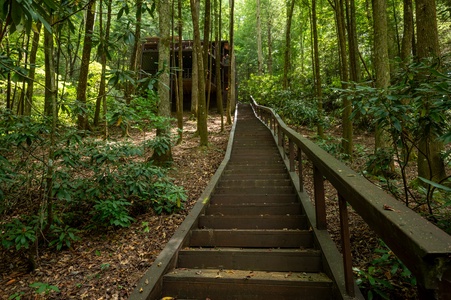 Paradise Found - Path to cabin from Creek