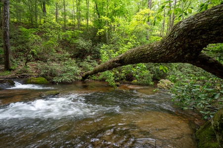 Tuckaway Cave - Fightingtown Creek Frontage