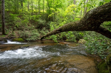 Tuckaway Cave - Fightingtown Creek Frontage