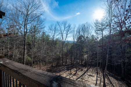 The Peaceful Meadow Cabin- Entry Level Deck View