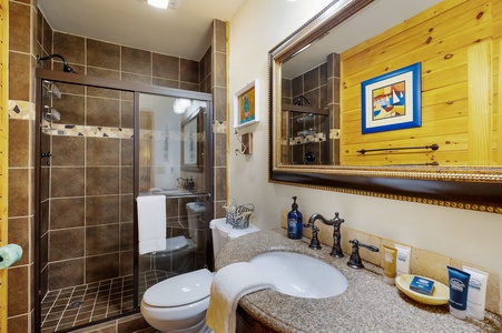 Peacock Chalet- Lower Level Bathroom