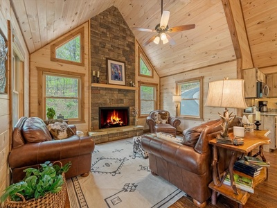 Fern Creek Hollow Lodge - Living Room