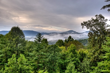 Mountain High Lodge - Forest and Long-Range Mountain Views at Dusk