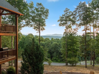 Soaring Hawk Lodge - Forest and Long-Range Mountain Views from Yard