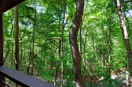 Creek Music Cabin - View from Hot Tub