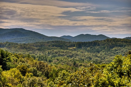 Point Of View - Forest and Long-Range Views