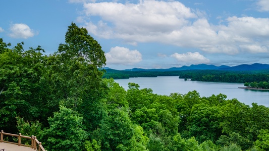 Peacock Chalet- Lake View from Cabin