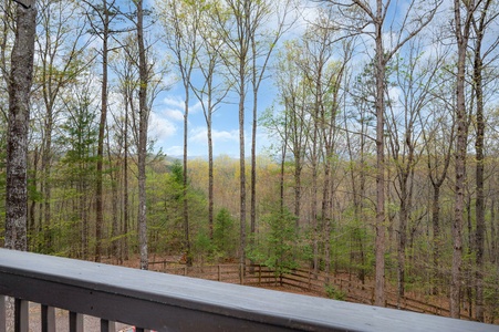 Scenic Ridge - Entry Level Deck View