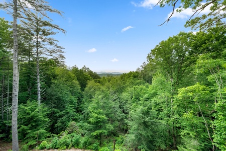 Rich Mountain Chateau Lower Level Deck View