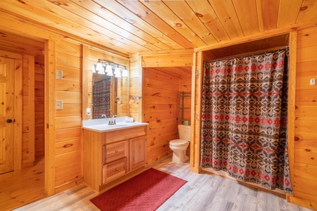 Hibernation Station - Lower Level Bathroom