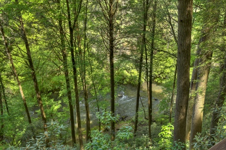 Hazy Hideaway - Ellijay River Views