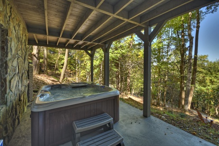 Ridgetop Pointaview- Lower level hot tub